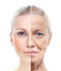 stem cells anti aging therapy