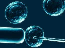 Common myths and misconception related to stem cell therapies.