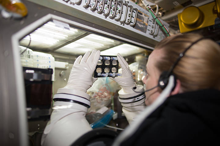 Studying stem cells on International Space Station