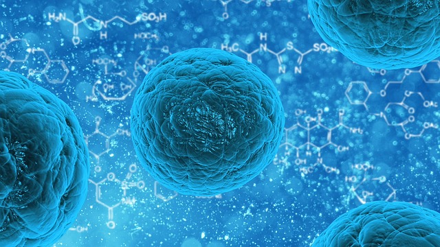 How Did Embryonic Stem Cell Research Began